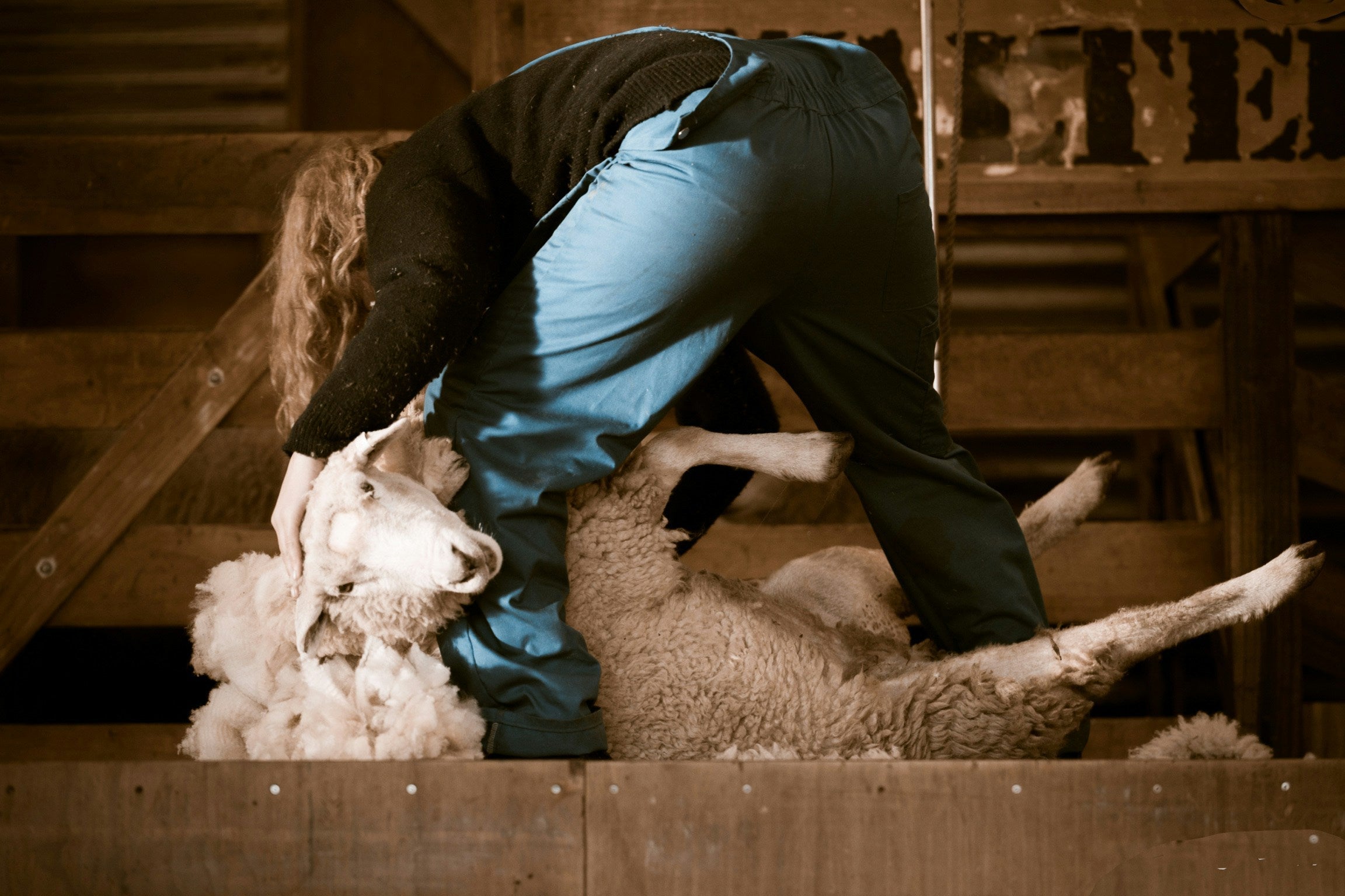 Was steckt hinter dem Responsible Wool Standard?