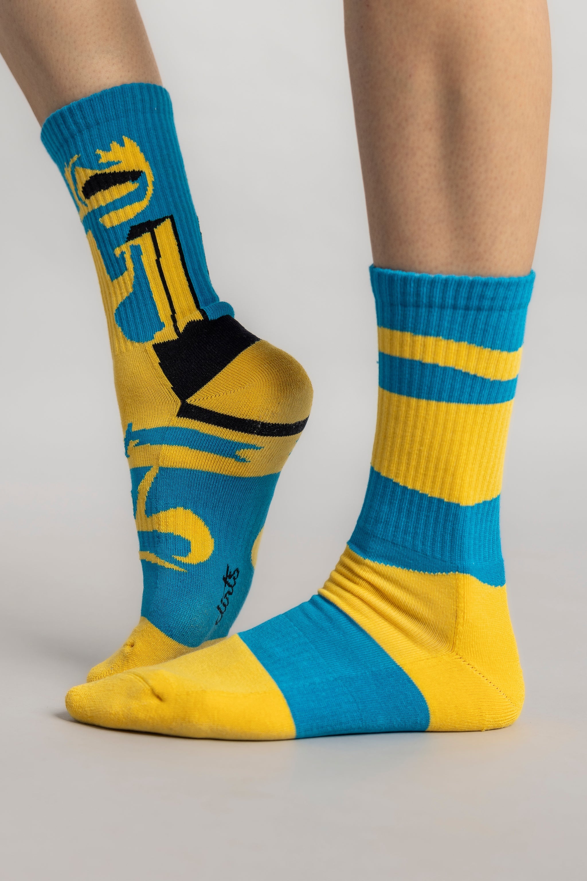 Inclusion Socks MORITZ