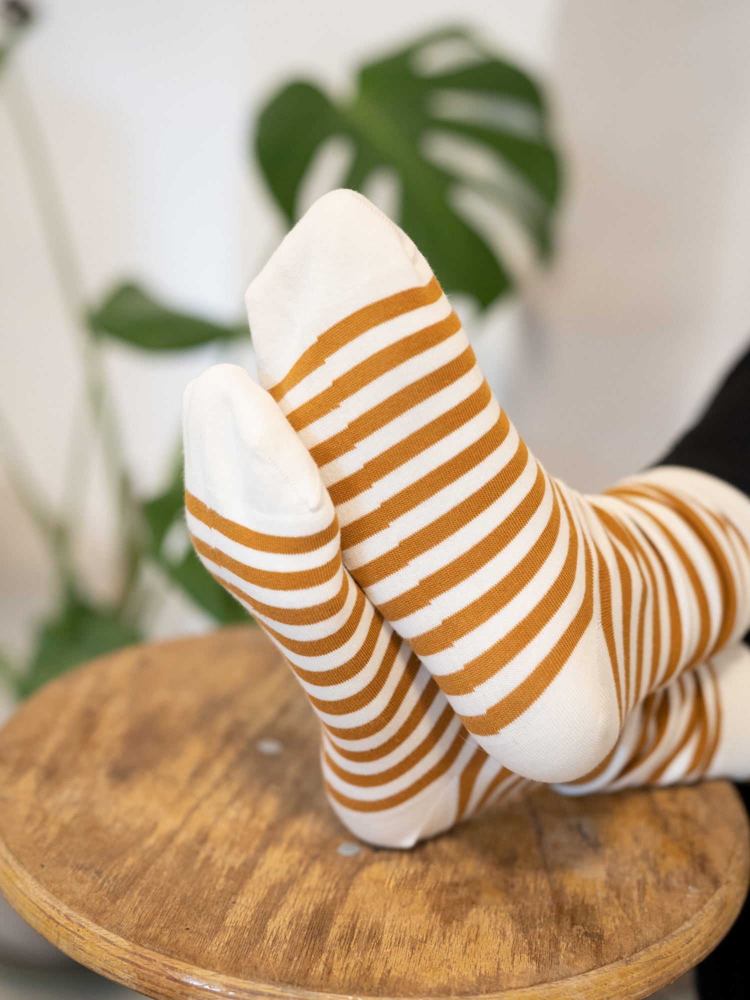 Streifensocken - creme senf