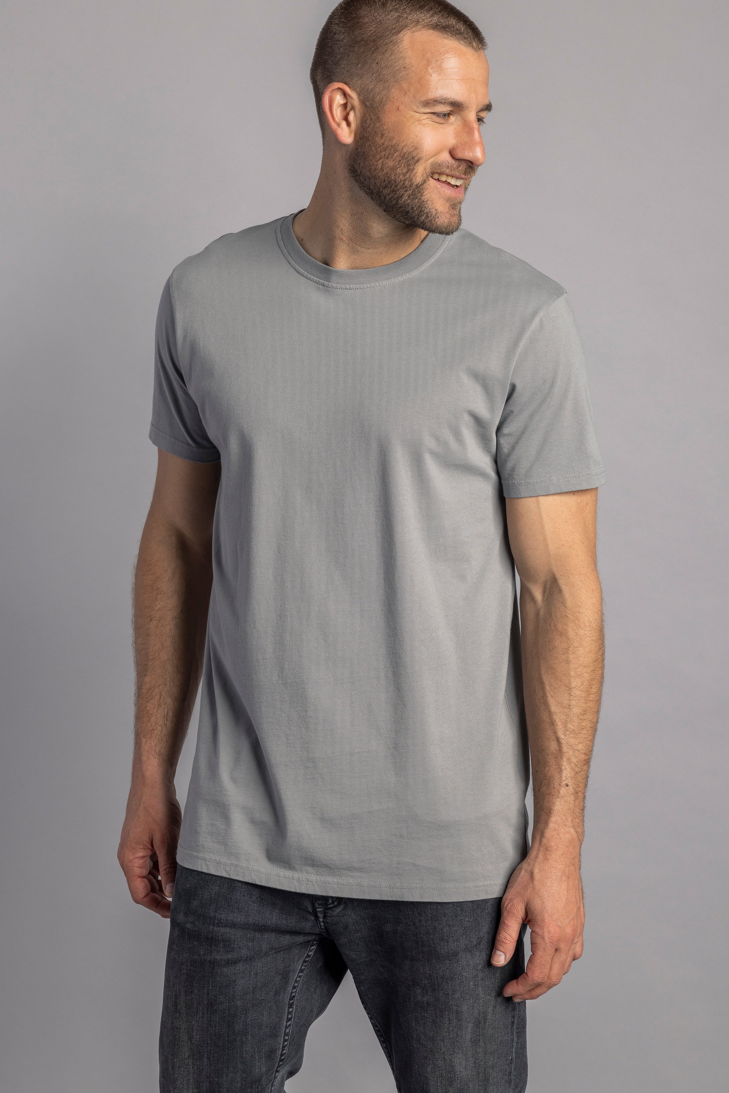 Premium Blank T-Shirt SLIM, Silver Dust